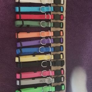 Personalized dog/cat collar.